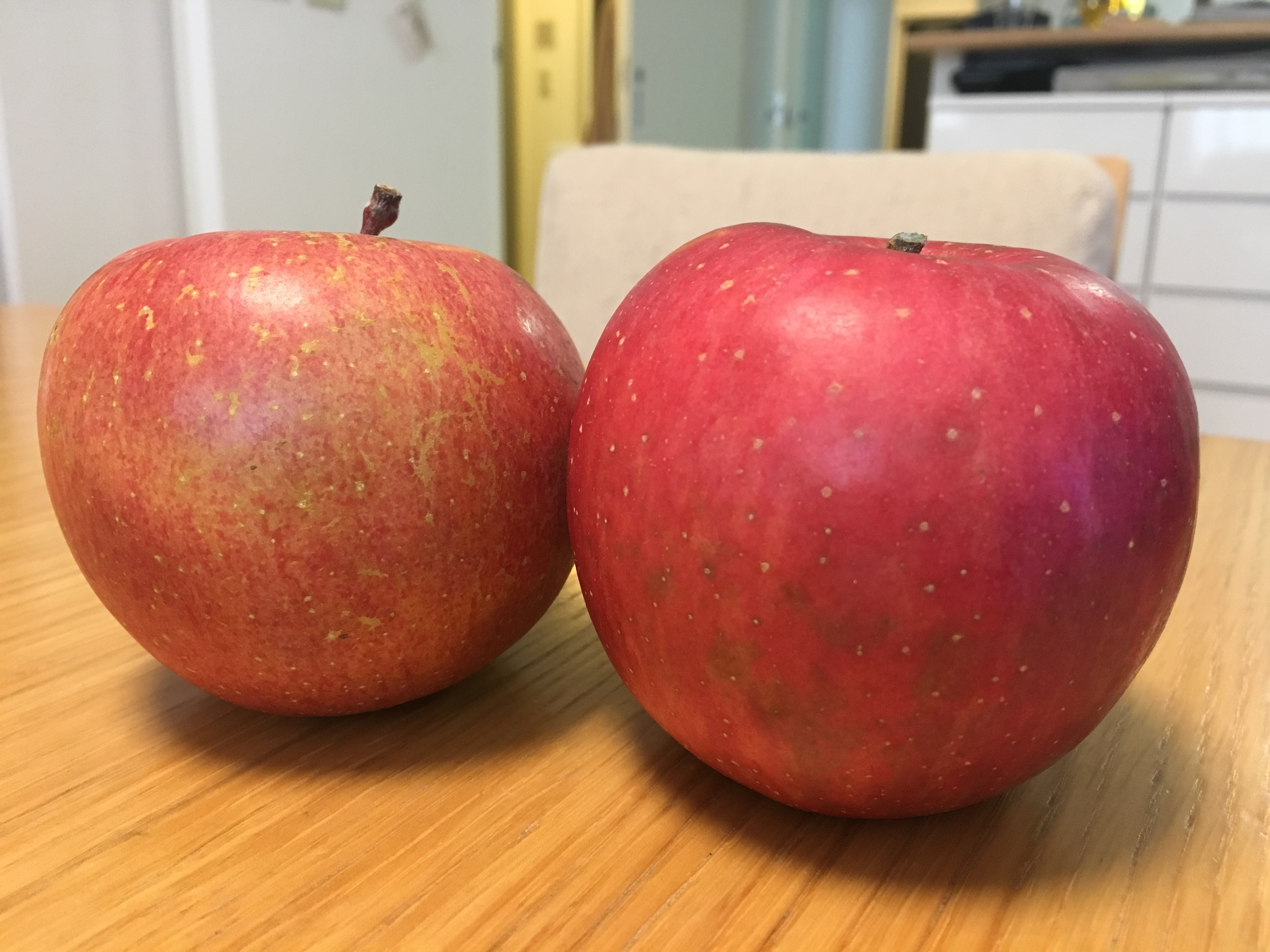 今日のスムージー　2017.05.07.　小松菜とリンゴのグリーンスムージー
