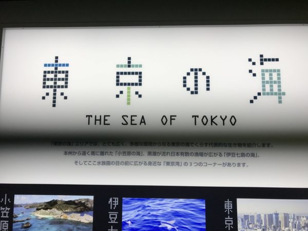 東京の海